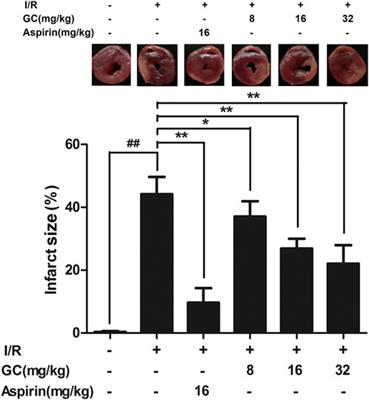 Corrigendum: Ginkgolide C alleviates myocardial ischemia/reperfusion-induced inflammatory injury via inhibition of CD40-NF-κB pathway